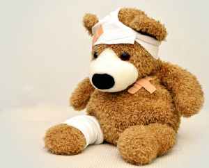 teddy-teddy-bear-association-ill-42230.jpeg